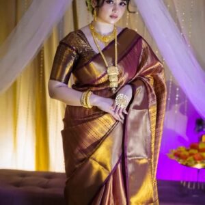রাজনন্দিনী কাঞ্চিপুরম শাড়ী
