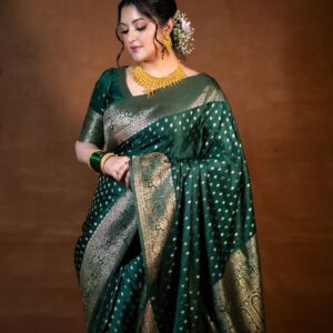 পরী মনি শাড়ী